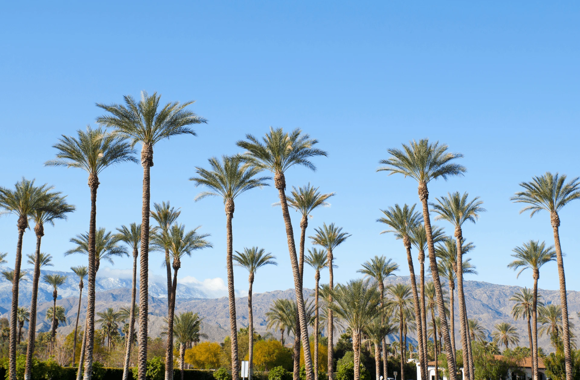 LGBTQ+ Greater Palm Springs & WeHo Getaway