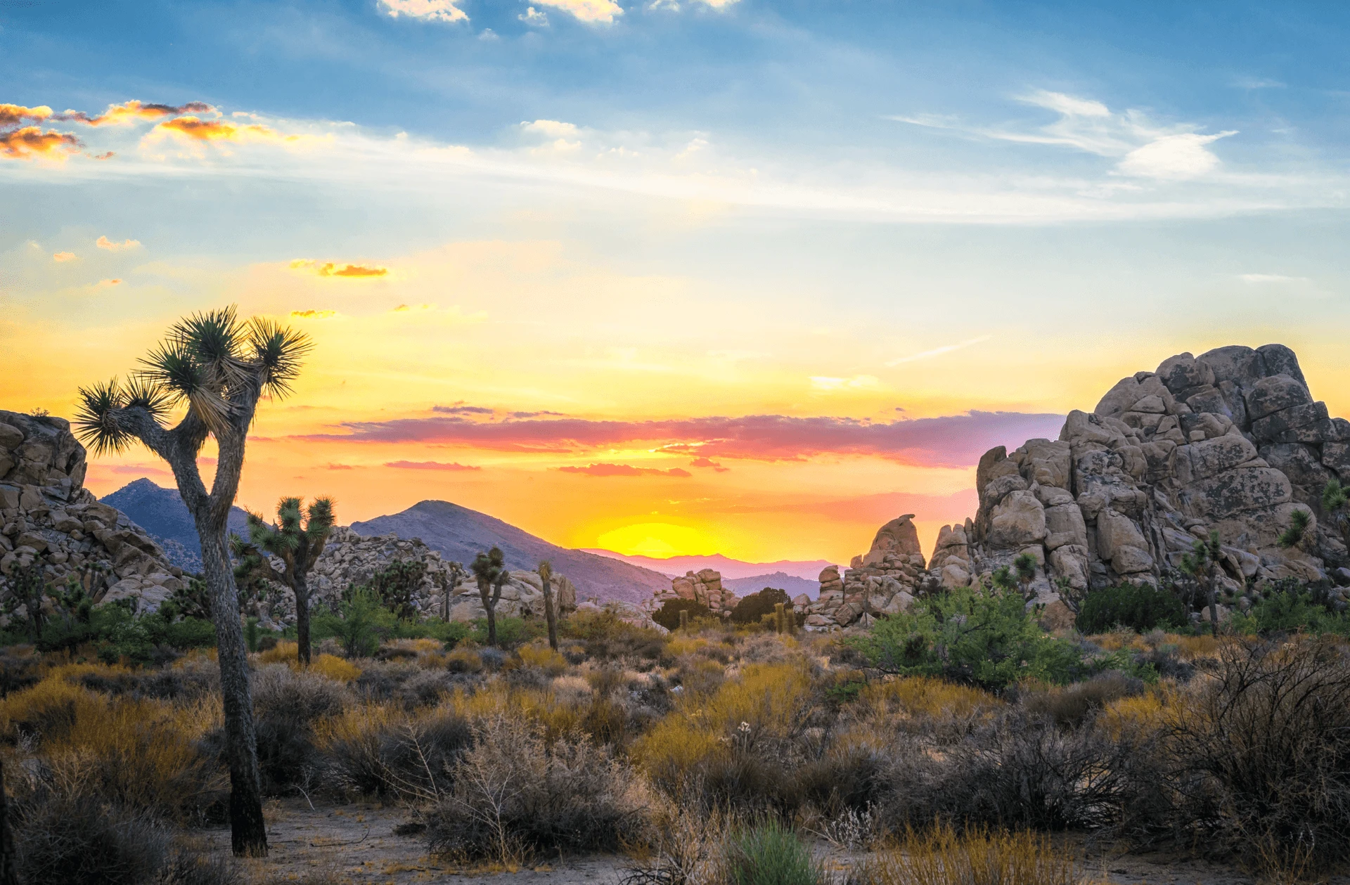 Outdoor Adventures in Greater Palm Springs & San Diego