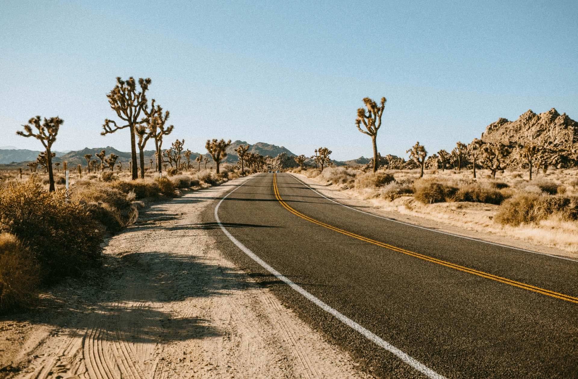 Beyond the Beaten Path: Guided Adventures in Greater Palm Springs