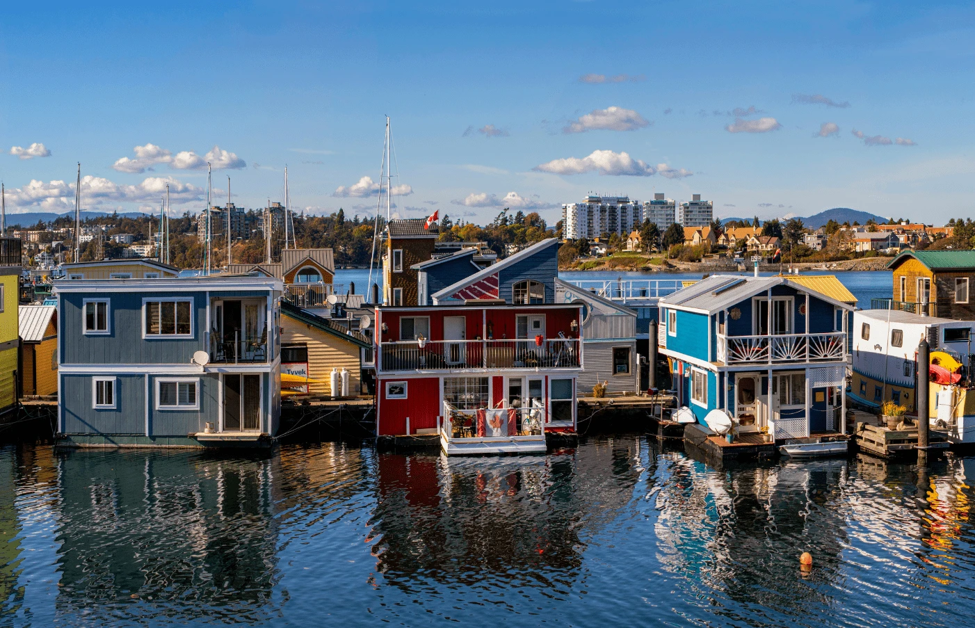 Whales, Bears and Vancouver Island