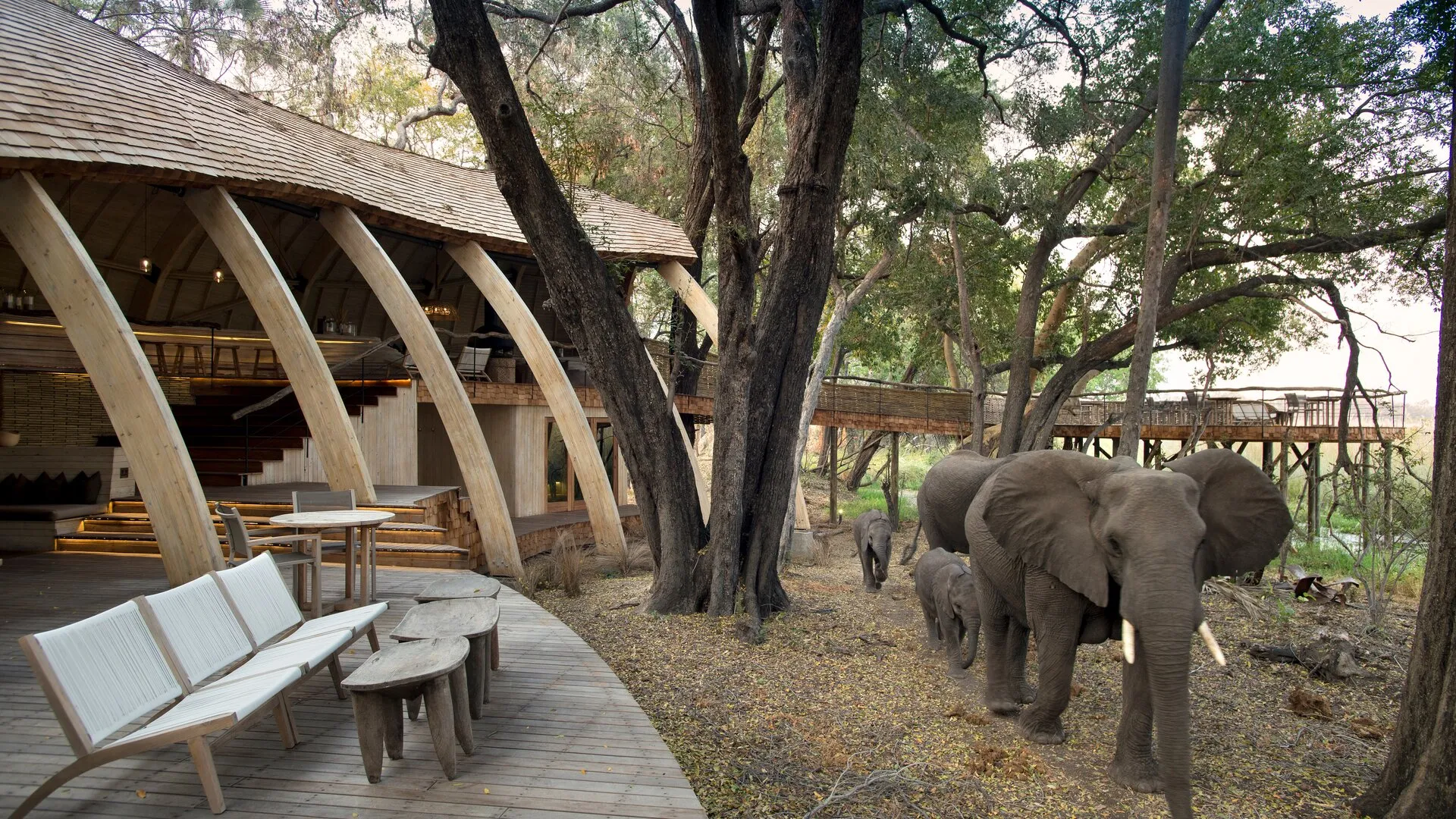 Sandibe Okavango Safari Lodge