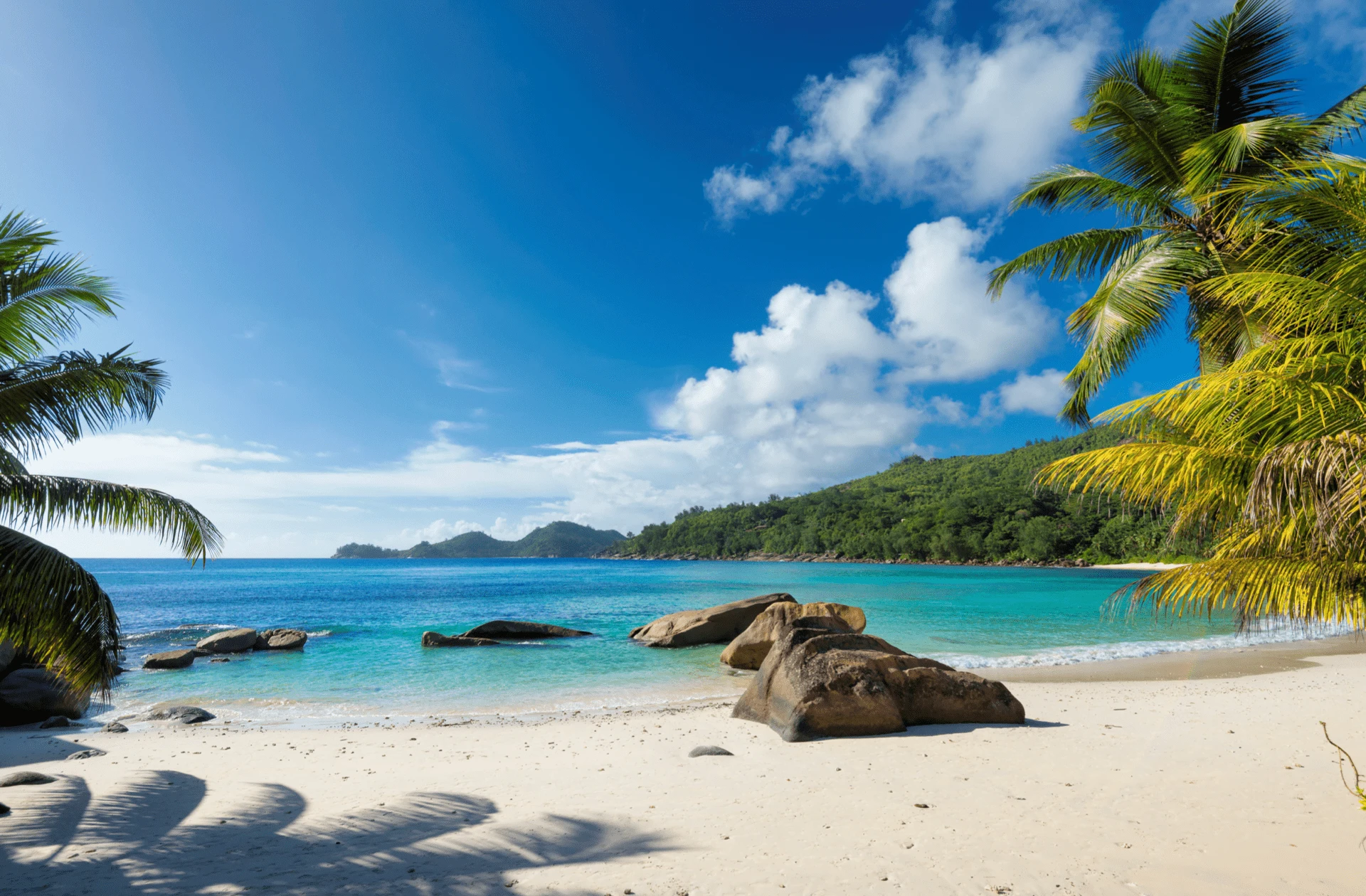 Luxury The Best Gay All-Inclusive Resorts 2026 & 2027 vacations