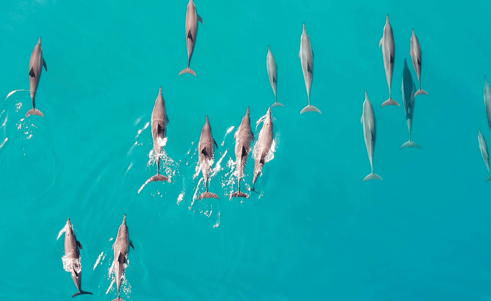 The Ritz-Carlton Maldives