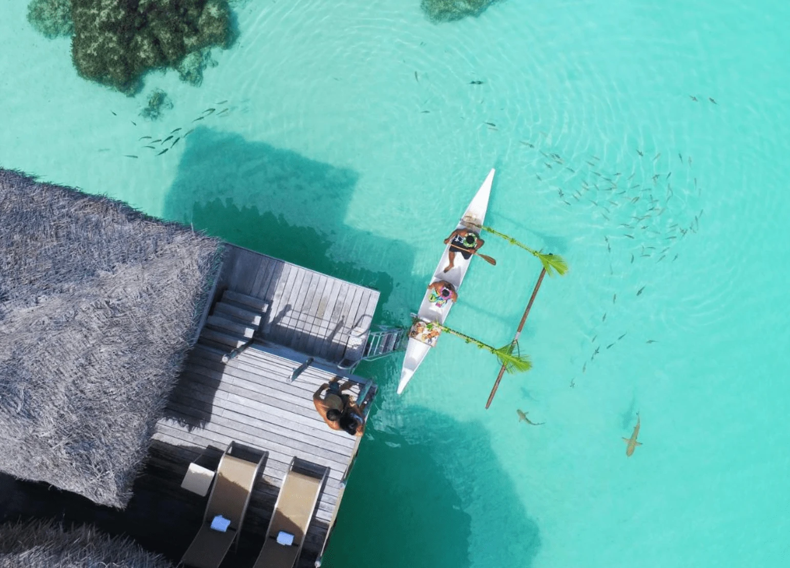 Le Tikehau by Pearl Resorts