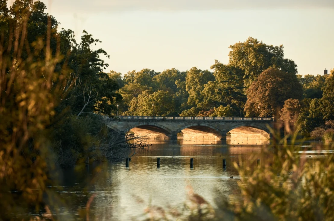Six Senses London