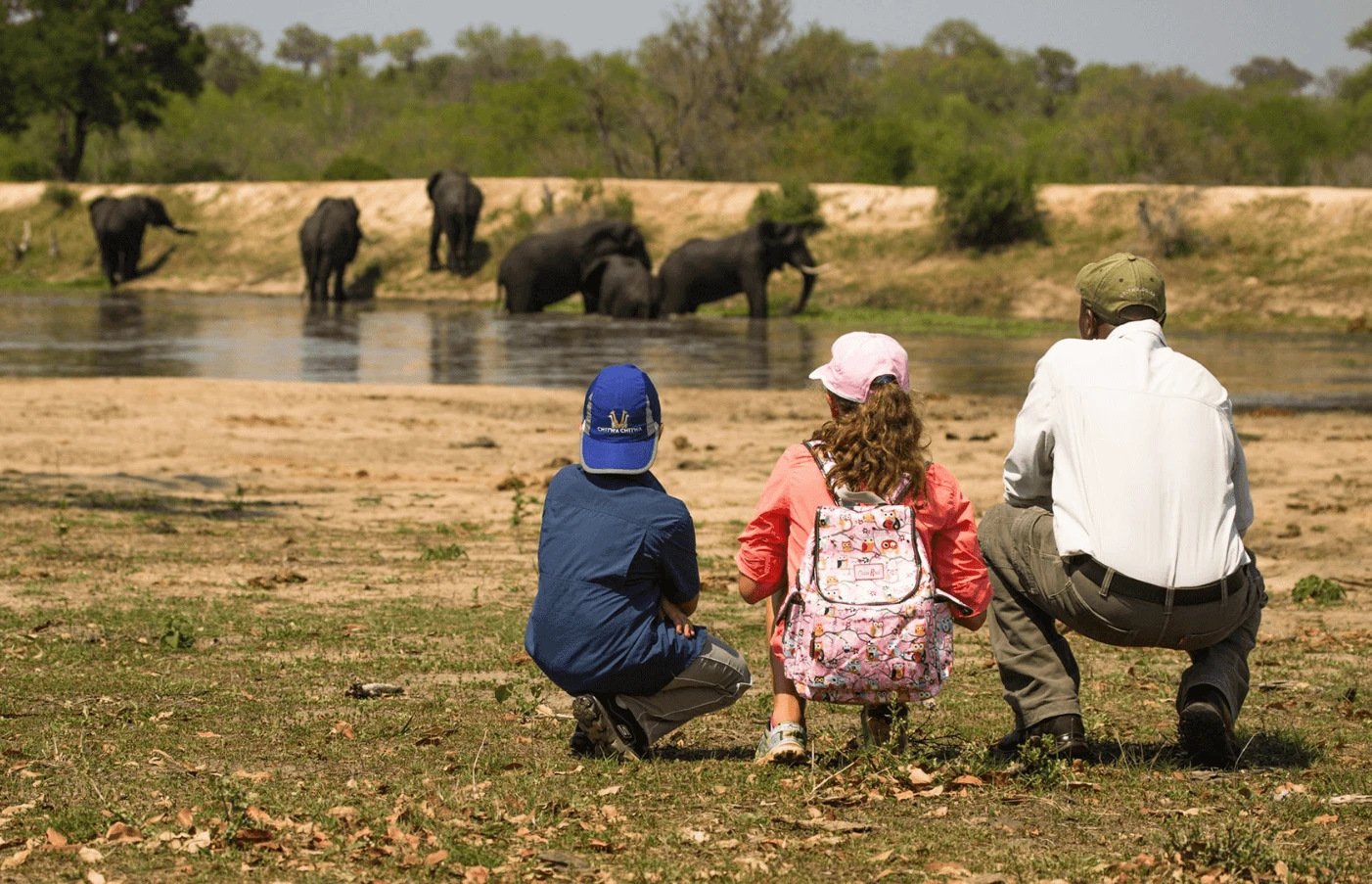 Family-Friendly South Africa Safari: Big Five & Beyond
