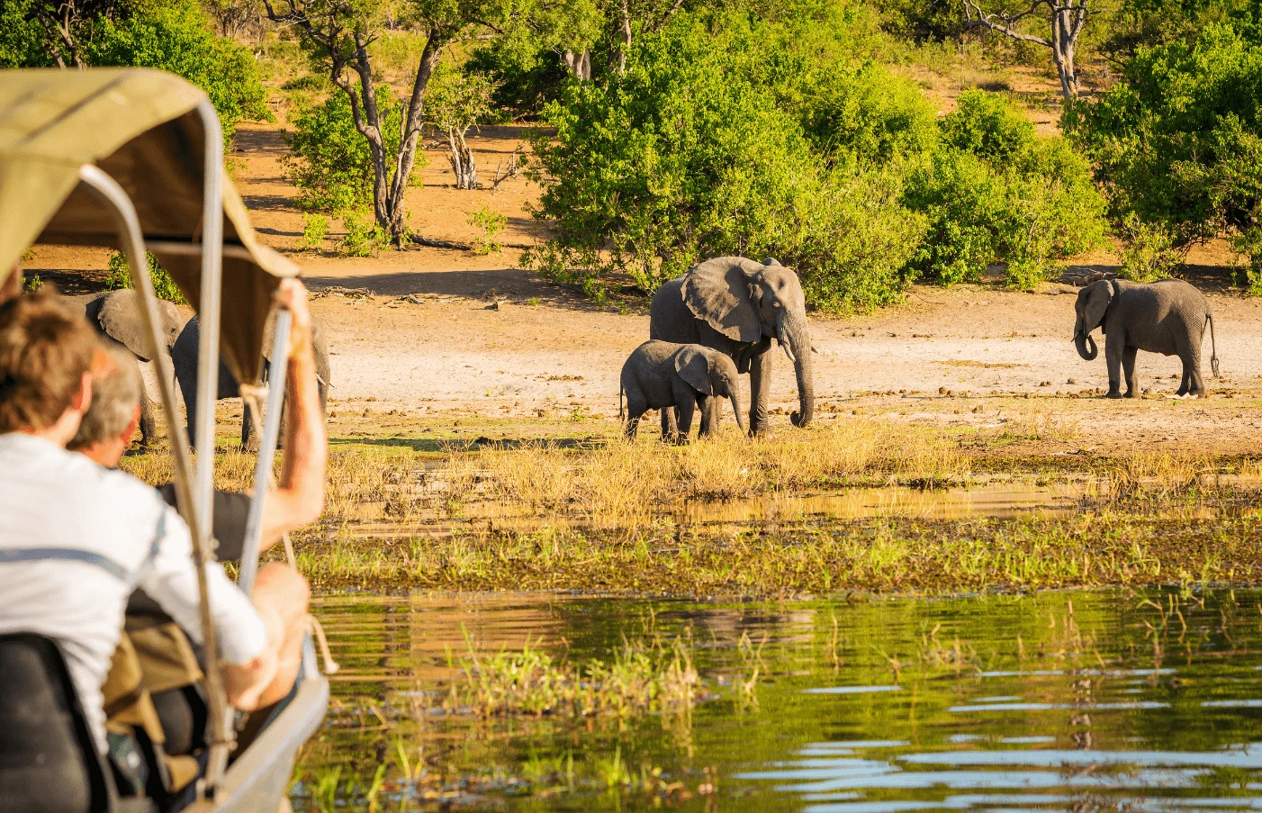 Family-Friendly South Africa Safari: Big Five & Beyond
