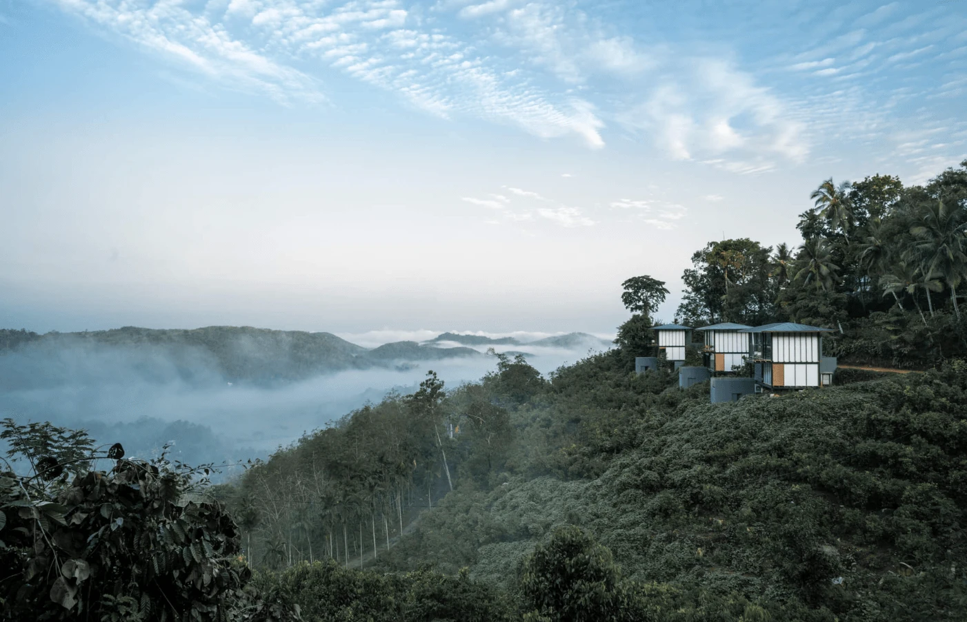 Sri Lanka & Maldives Wellness Journey