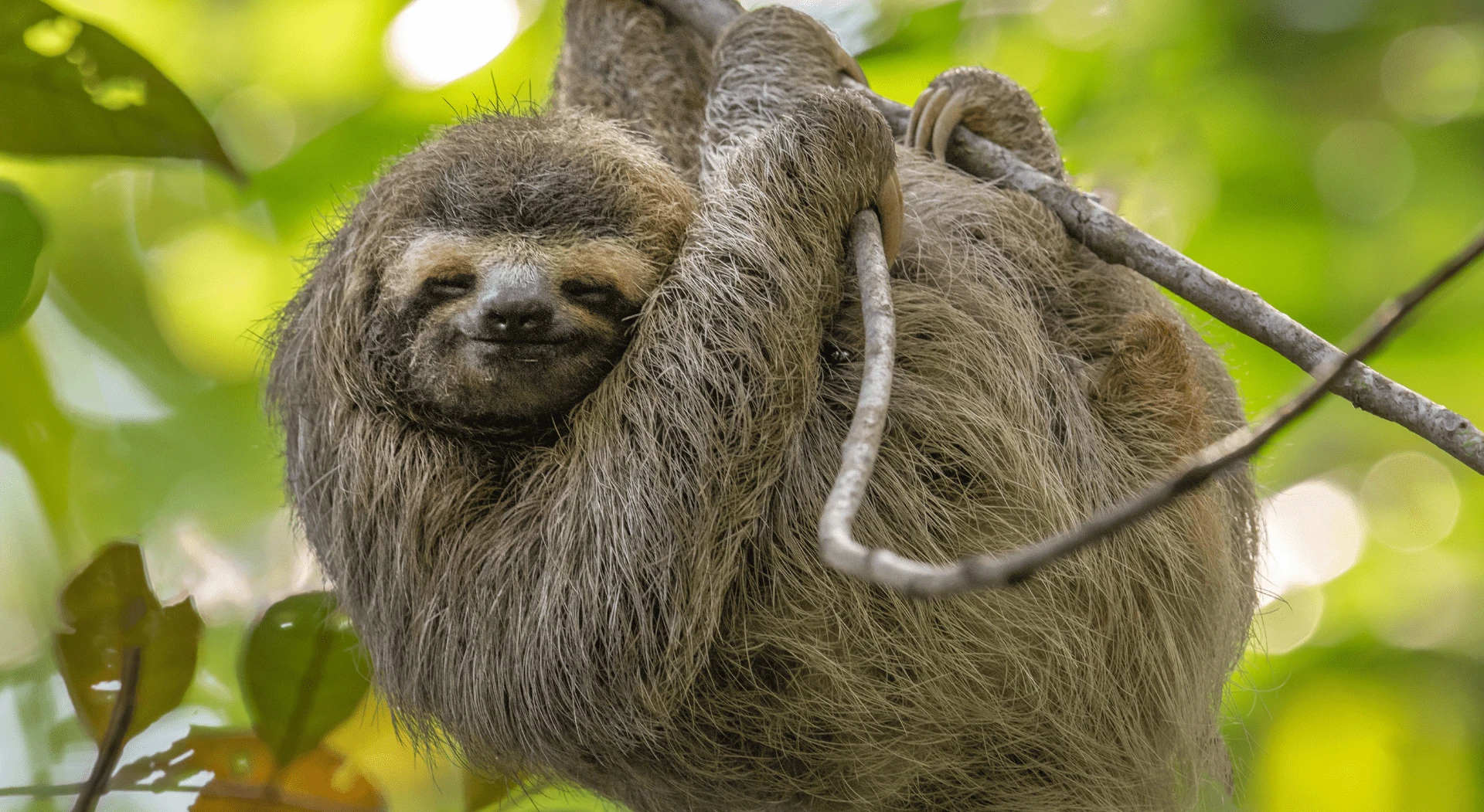 Eco-Friendly Costa Rica