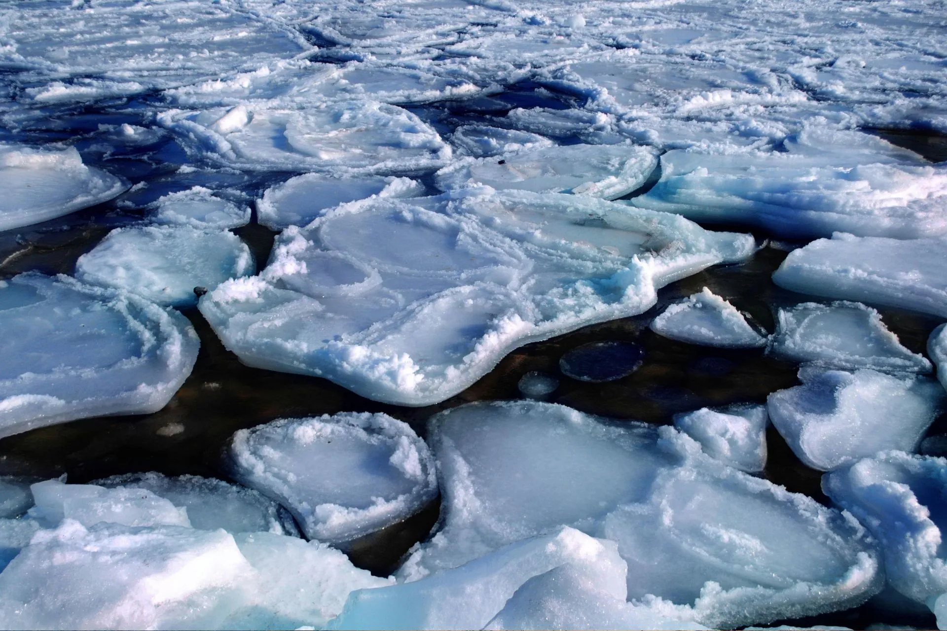 Gay Group Trip: Journey to Antarctica