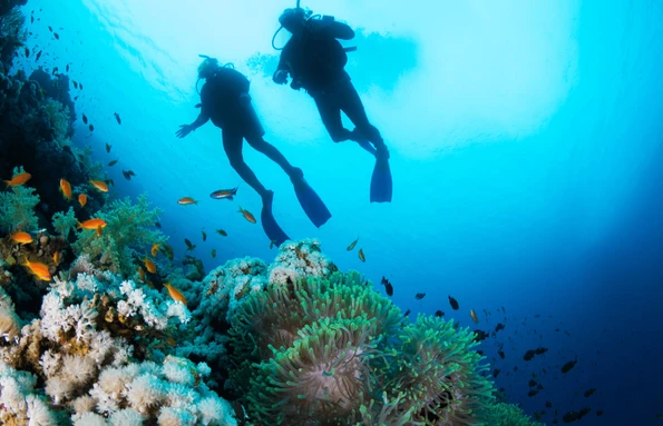 Gay Group Trip: Dreams of Tahiti Cruise