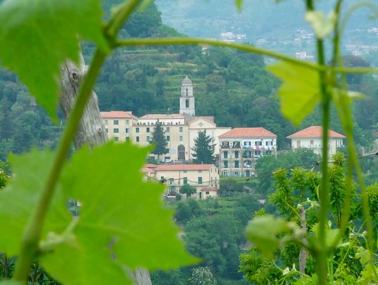 Tenuta San Francesco – Tramonti