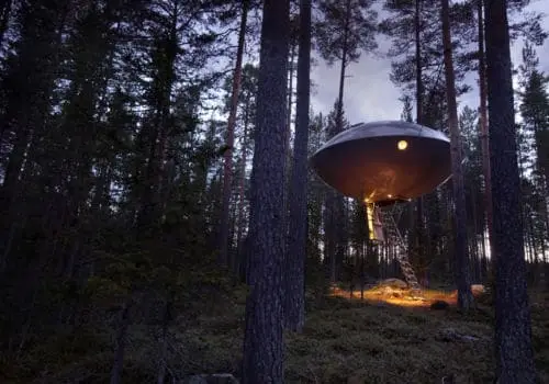 Day 4: Treehotel