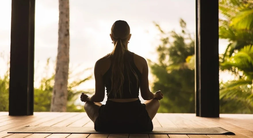 Wellness