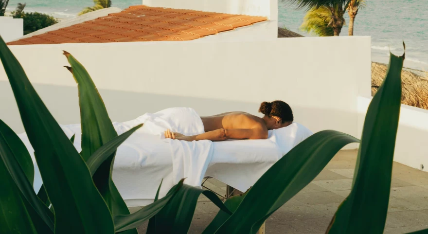 Wellness