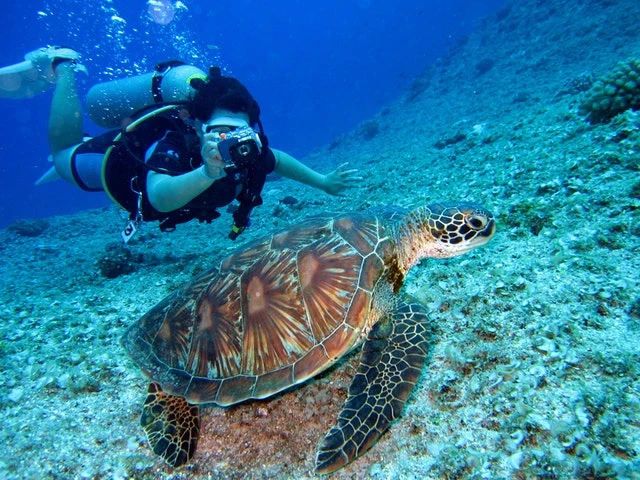 What To Do In Aruba