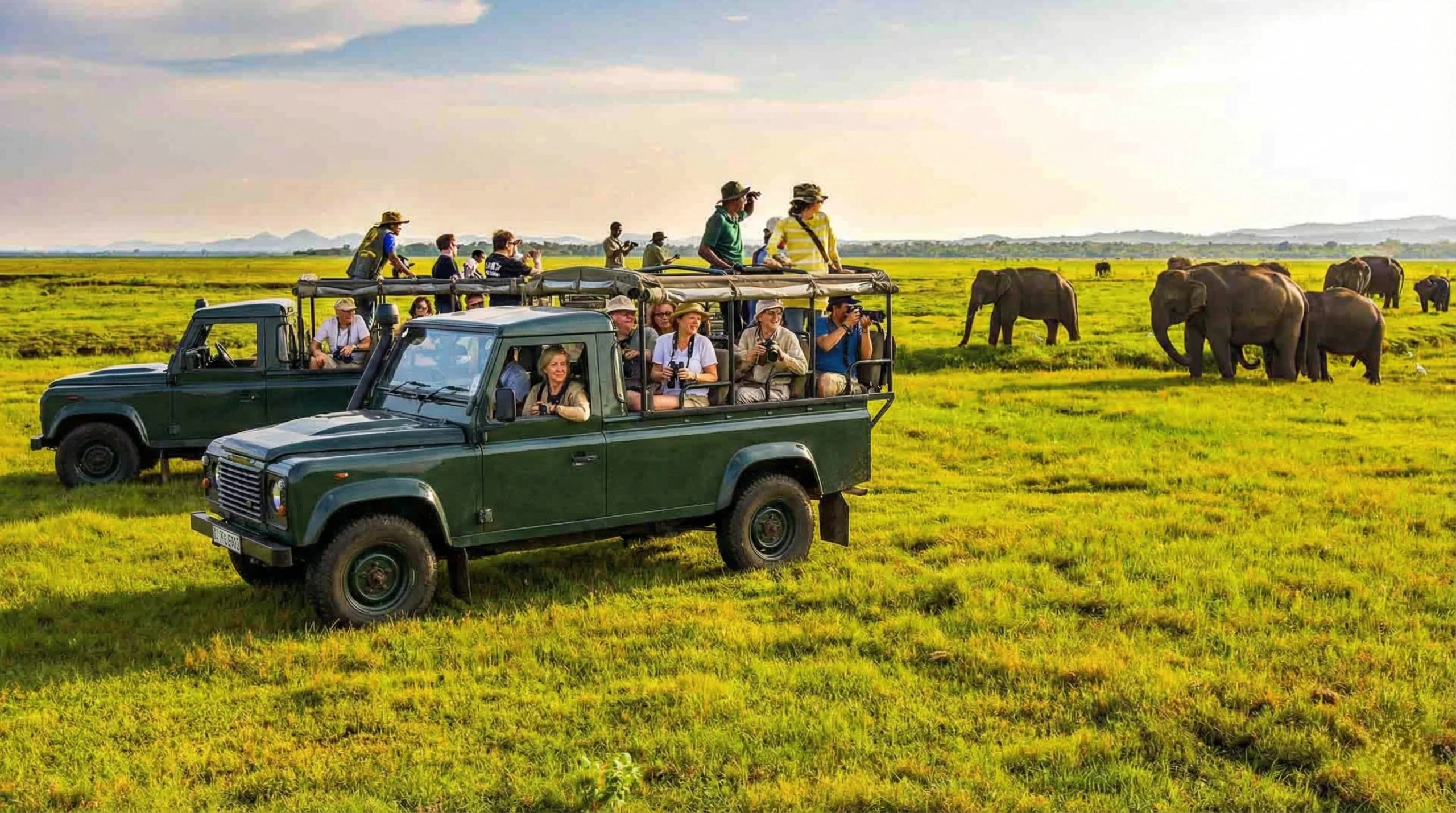 Sri Lanka Wildlife Encounter