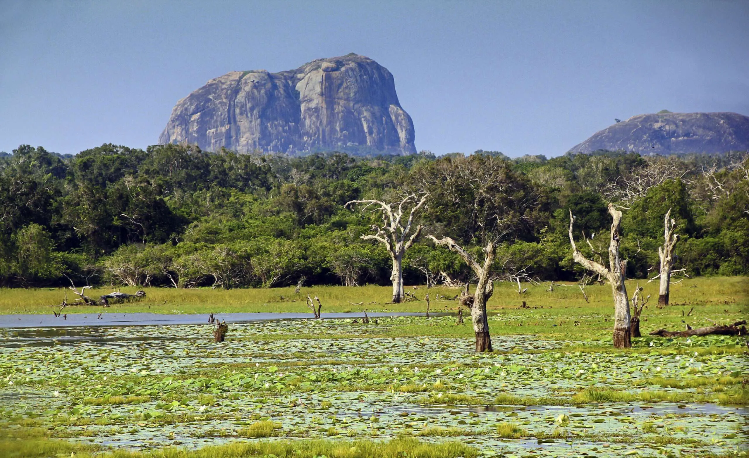 Sri Lanka Wildlife Encounter