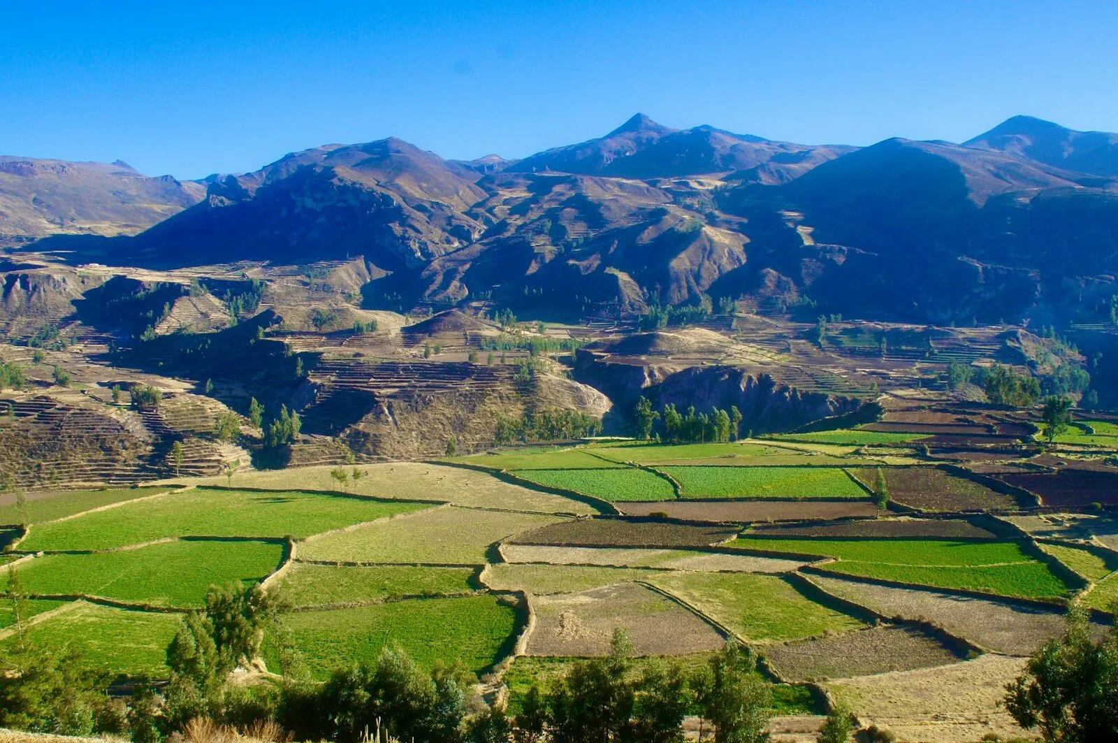 A Culinary Tour of Peru: Lima, Arequipa and the Sacred Valley
