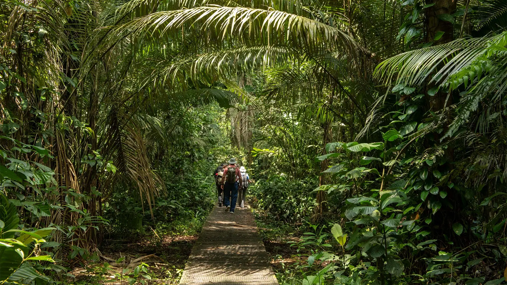 Amazon Jungle Lodge Adventure: Ecuador’s Rainforest & Andes