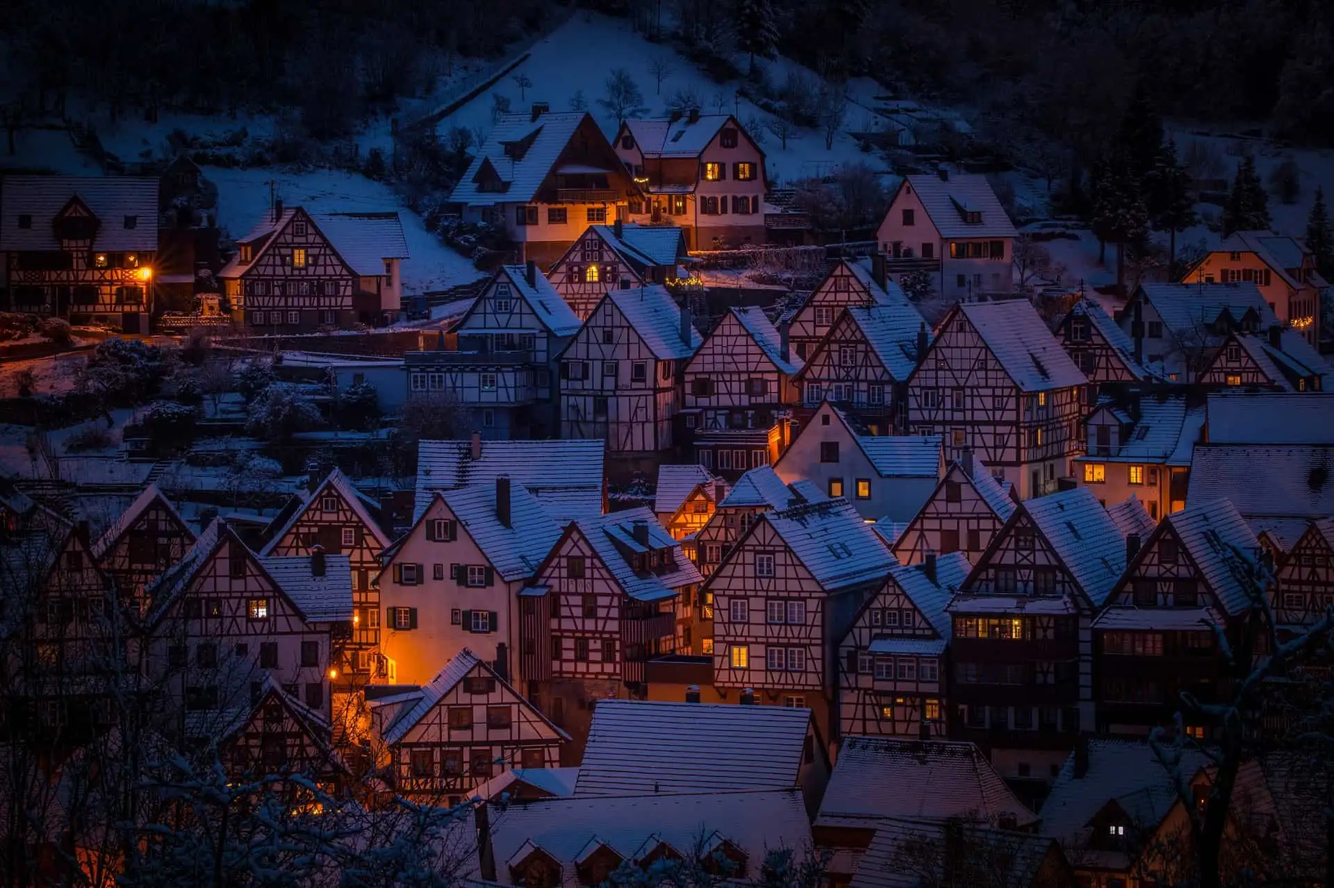 Day 6: Black Forest 