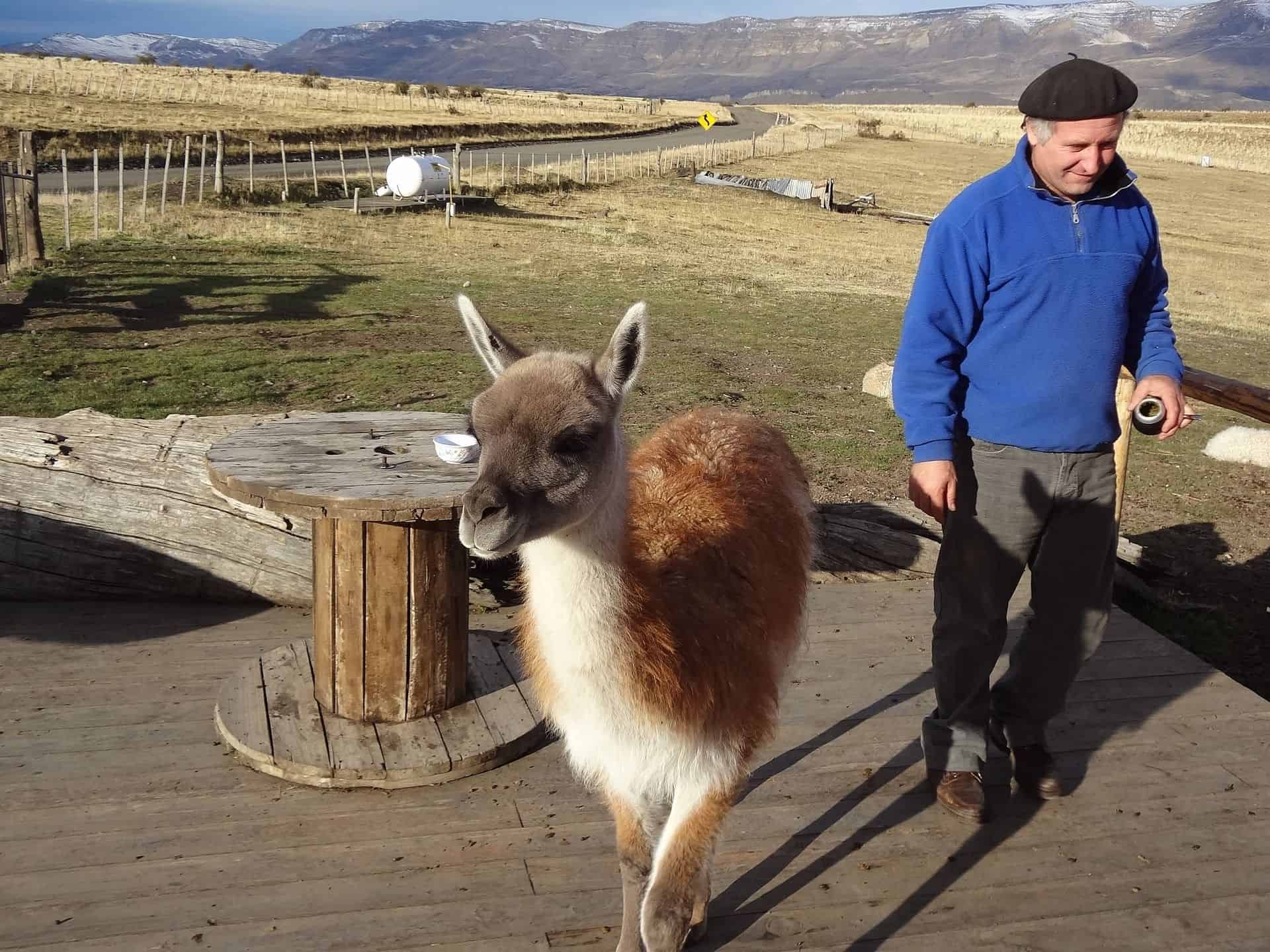 Day 5: El Calafate