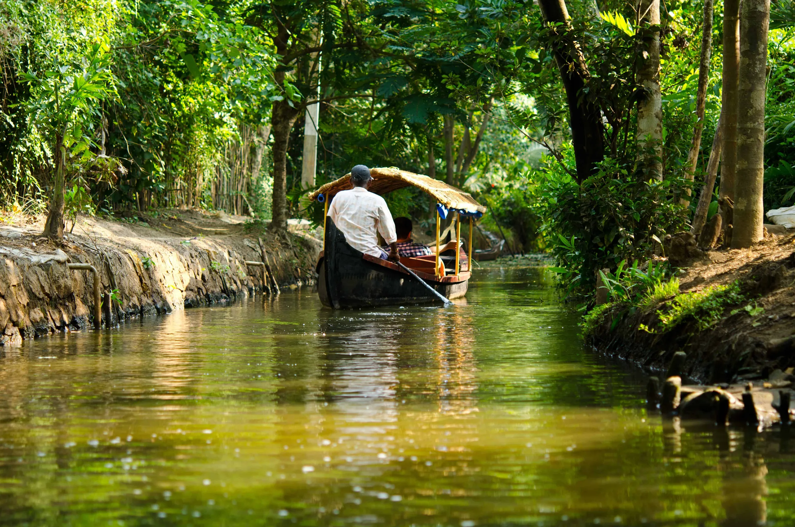 Discover Kerala