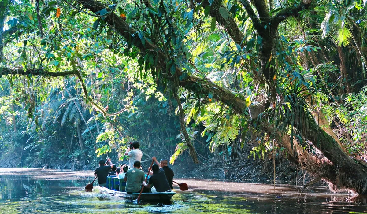 Days 3-6: The Amazon