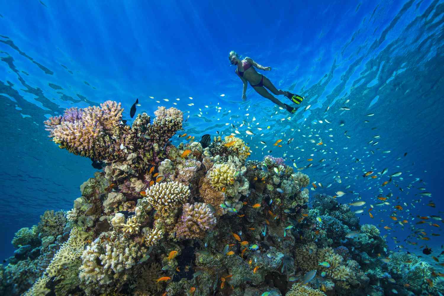 Los Cabos: Adventure Beyond the Resort