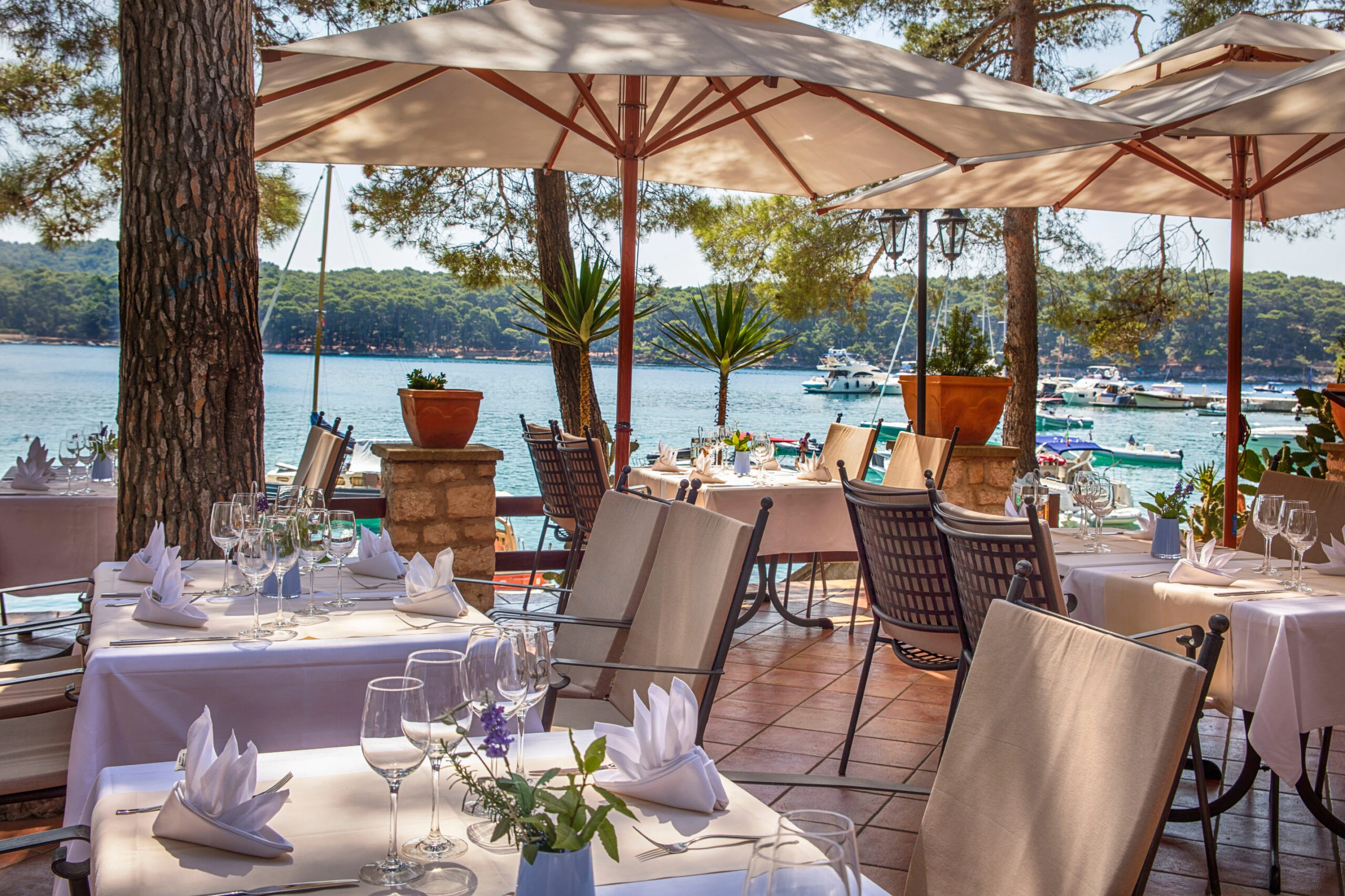 Croatia Food And Wine Tour