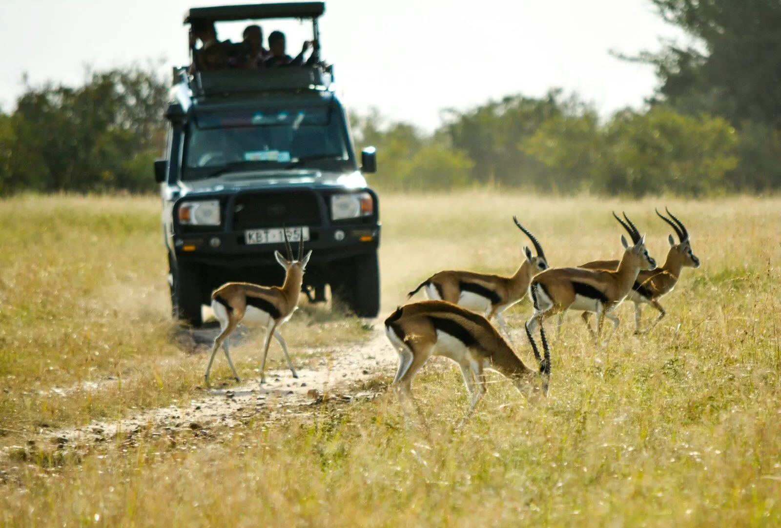 Days 5–7: Chobe National Park