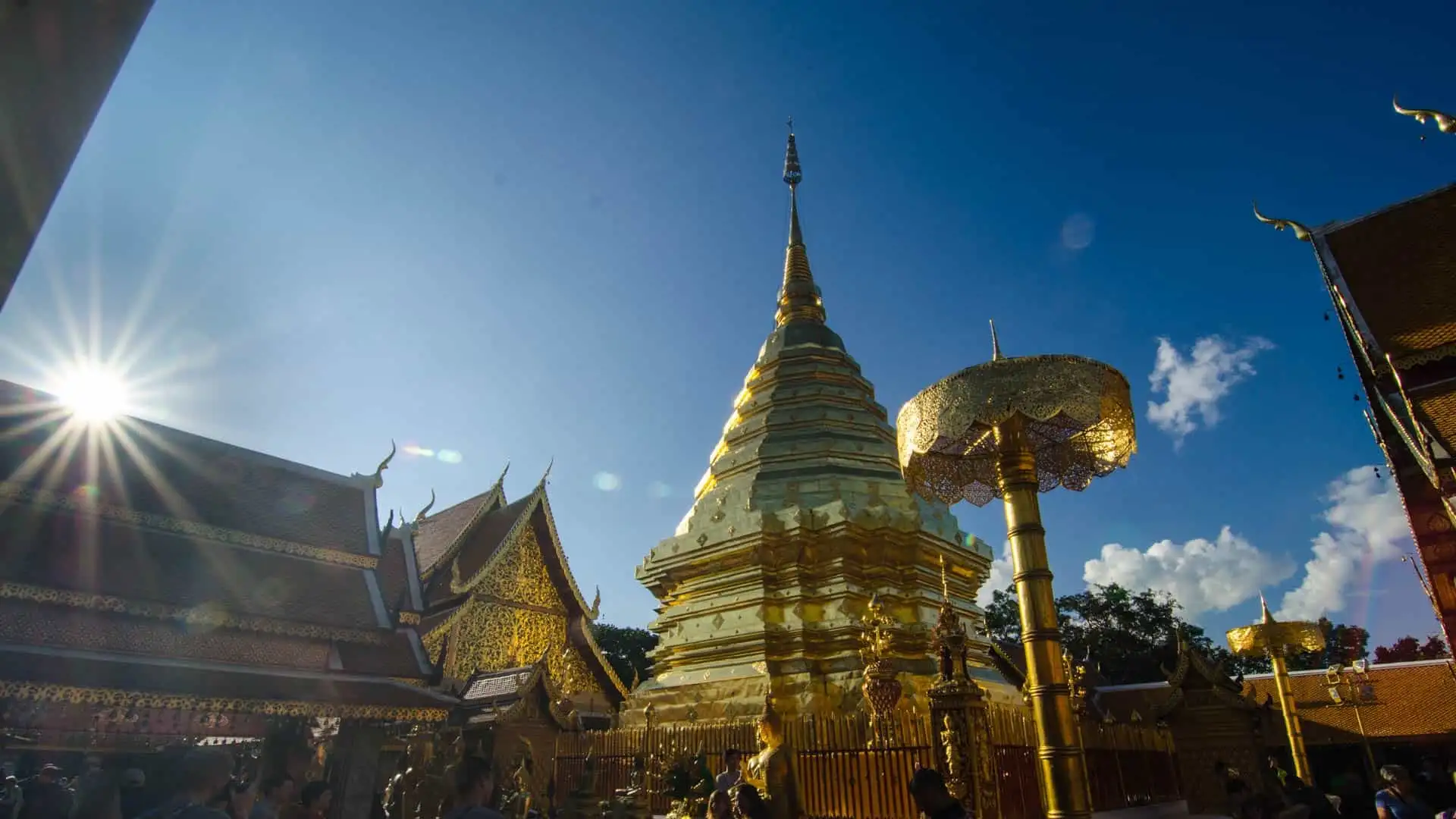 Taste of Thailand: Culinary Tour of Bangkok & Chiang Mai