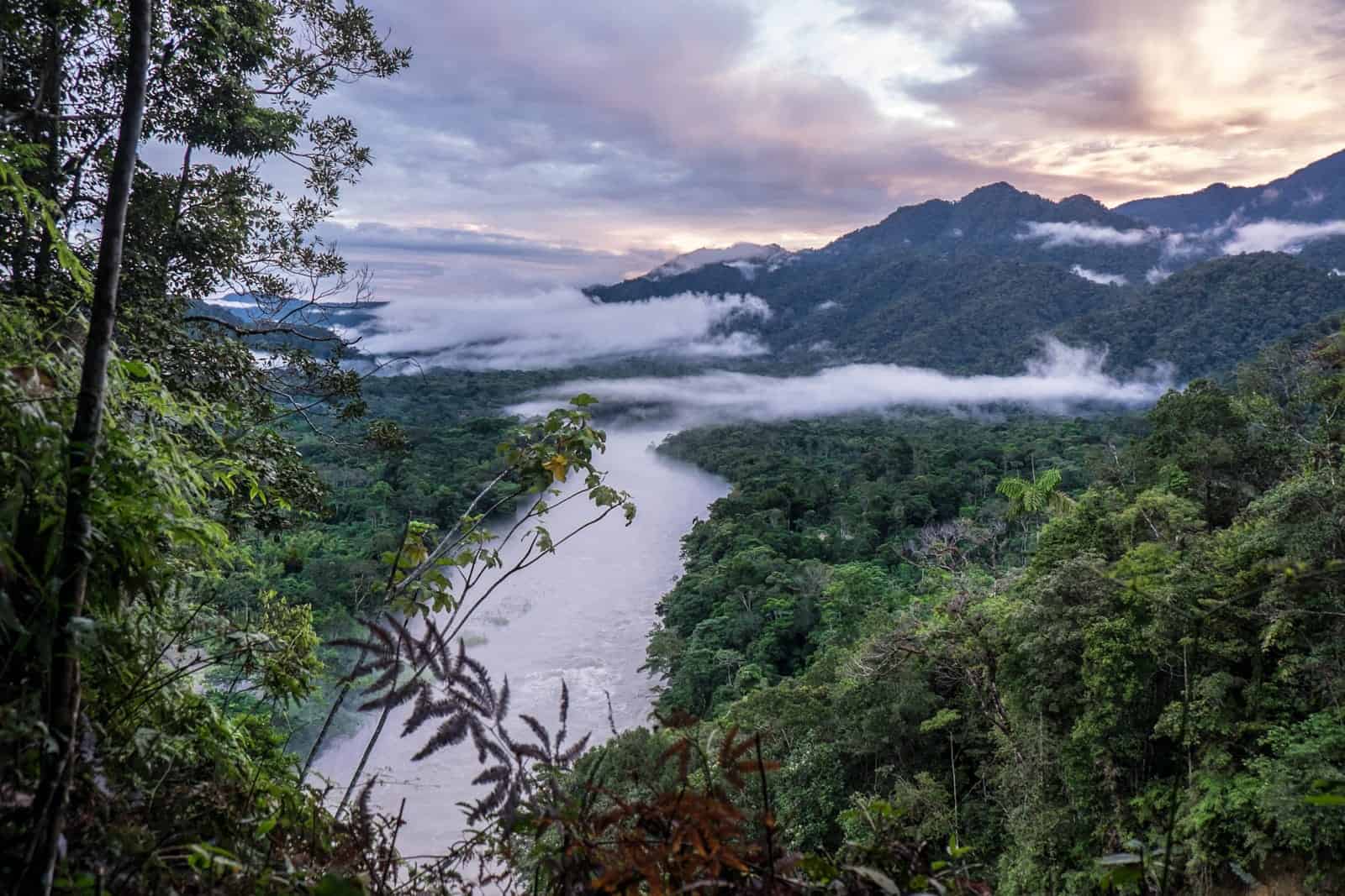 Amazon Jungle Lodge Adventure: Ecuador’s Rainforest & Andes