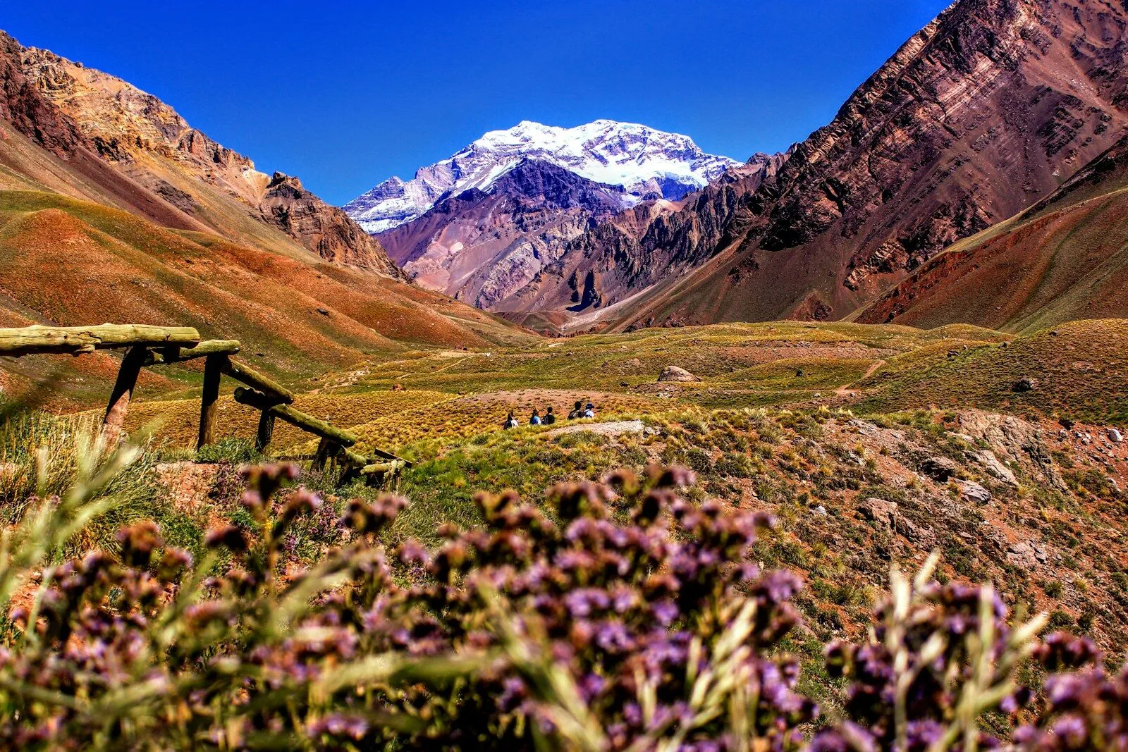 Day 6: Mendoza
