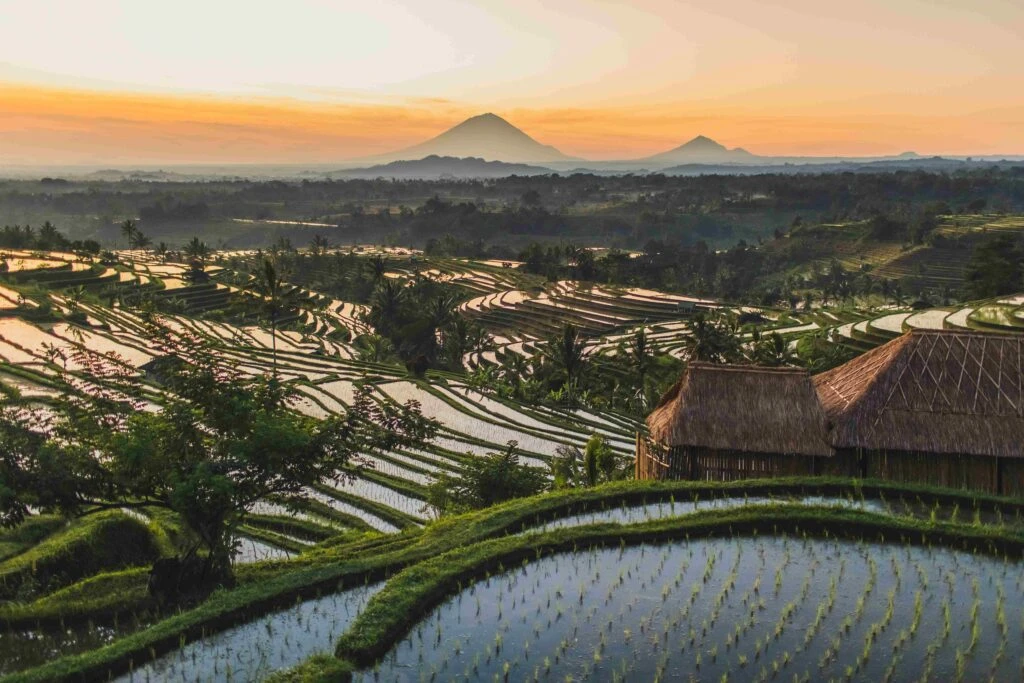 Day 5 and 6: Ubud