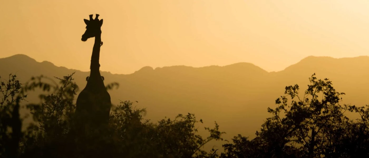 Adventure Vacations in South Africa