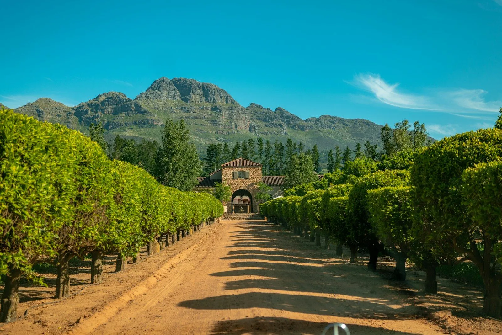 Days 4-5: Stellenbosch
