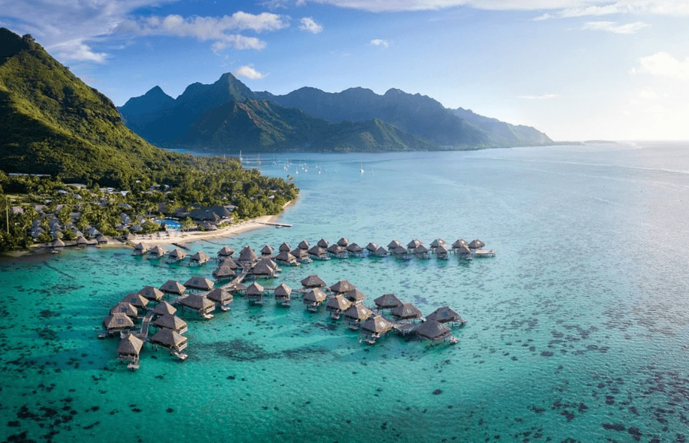 Day 3 - 6: Mo'orea 