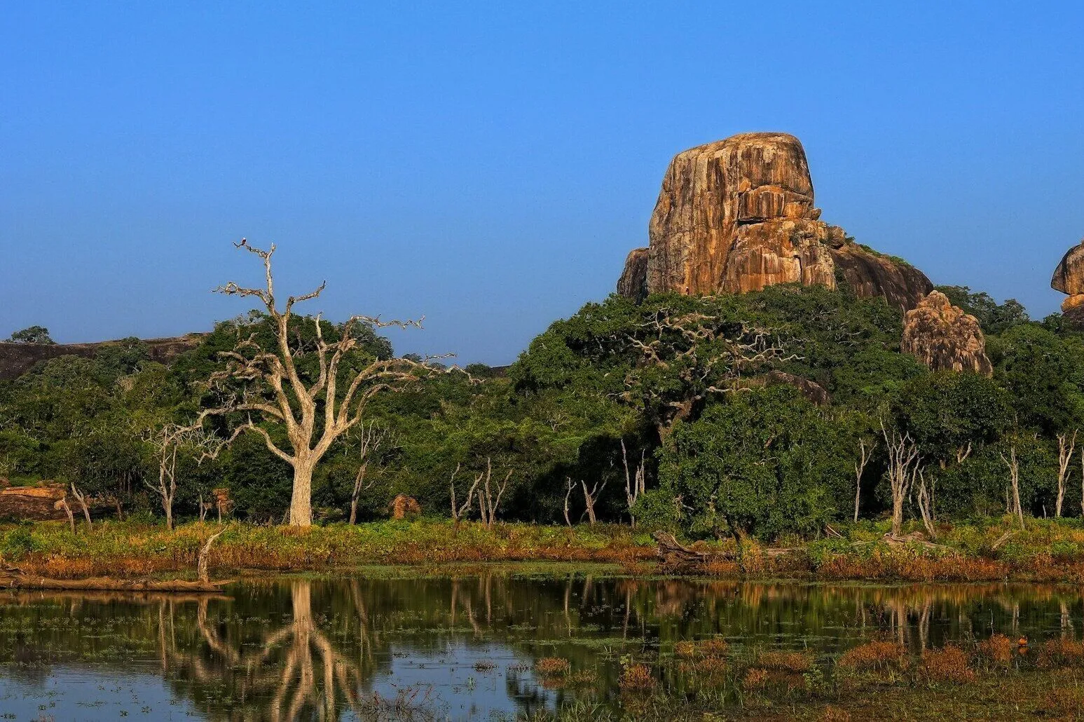 Day 8: The Wild Heart of Yala National Park