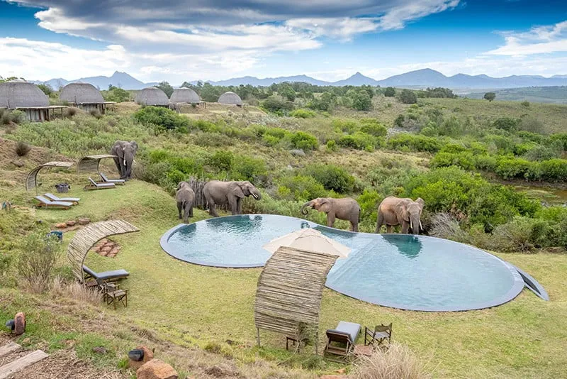 Gondwana Game Reserve