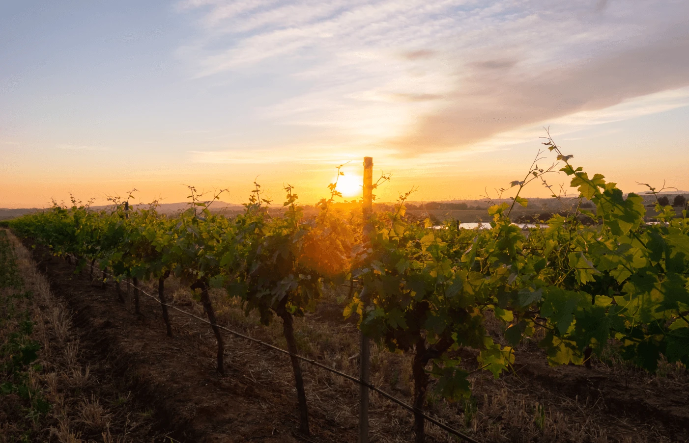 Days 6-8: Hunter Valley 