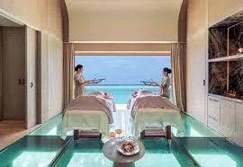 Wellness