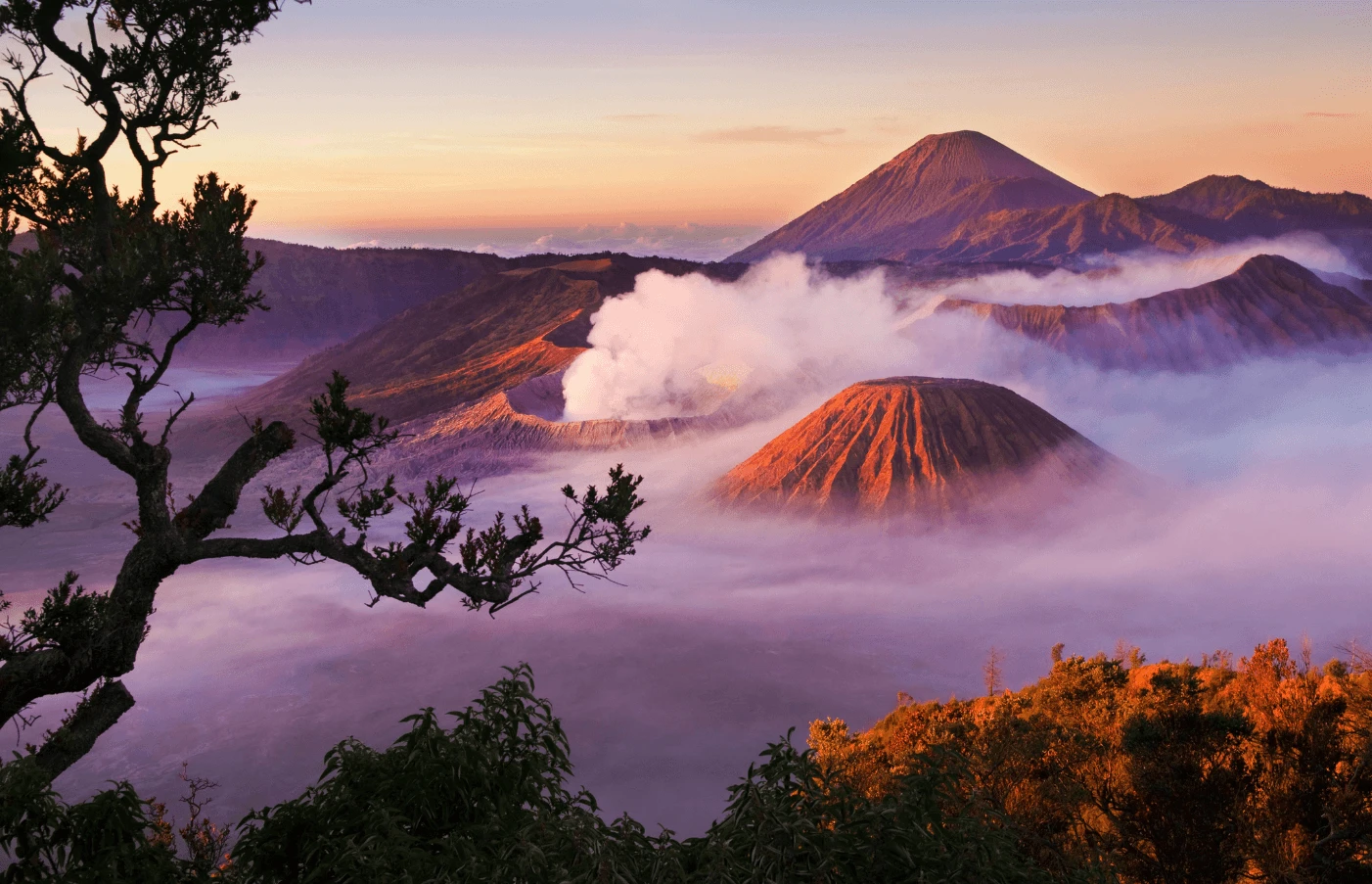 Bali