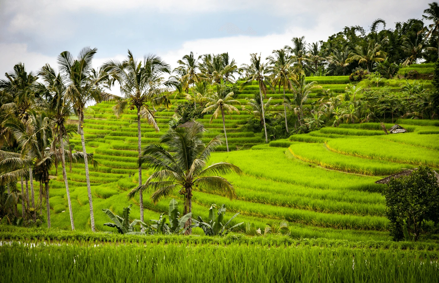 Luxury Indonesia Travel Guides vacations