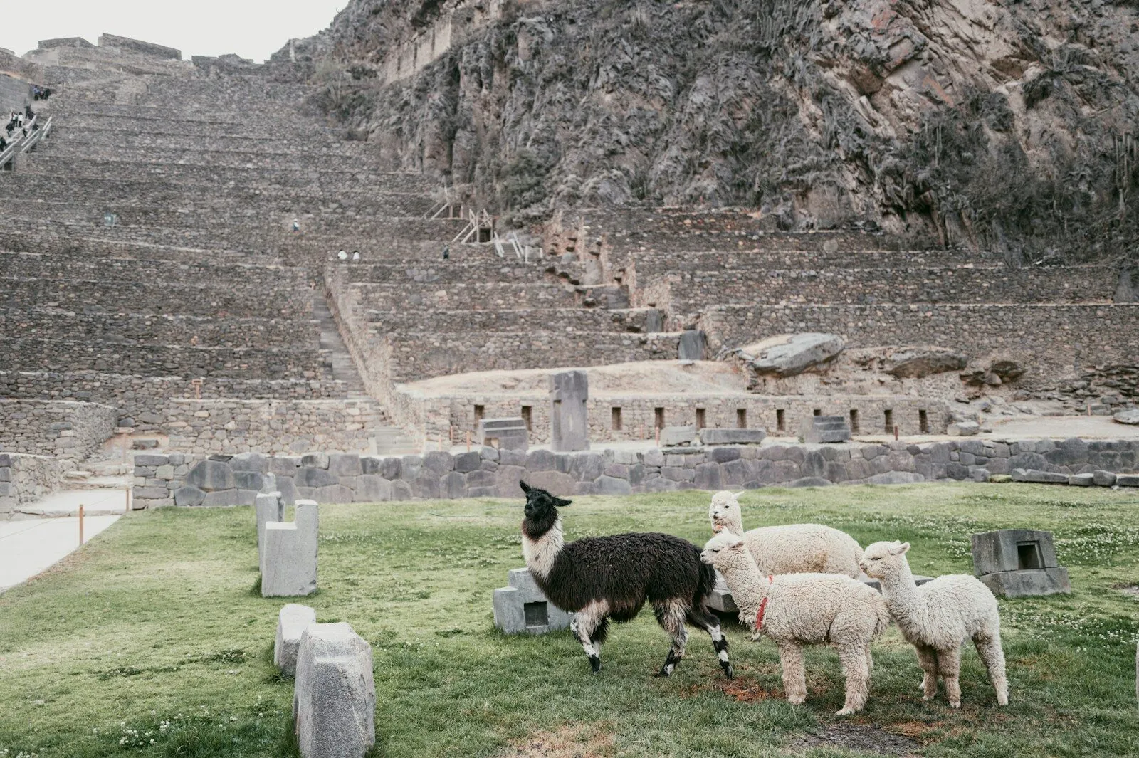Machu Picchu & Iguazu Falls: Luxury Peru & Brazil Tour