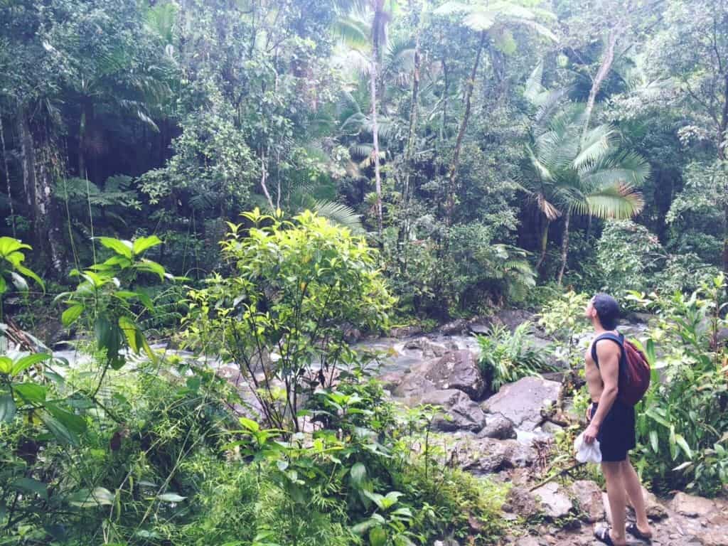 Top Tips for Puerto Rico: We won a trip there. No, really!