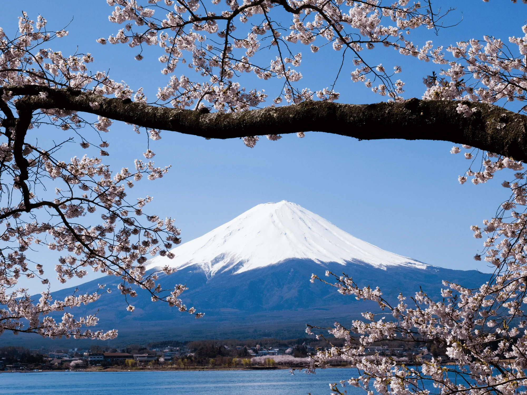Luxury Japan vacations