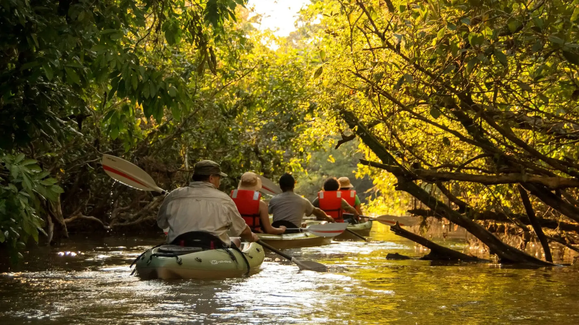 Ecuador’s Luxury Amazon Cruise: Napo River, Yasuní & the Andes