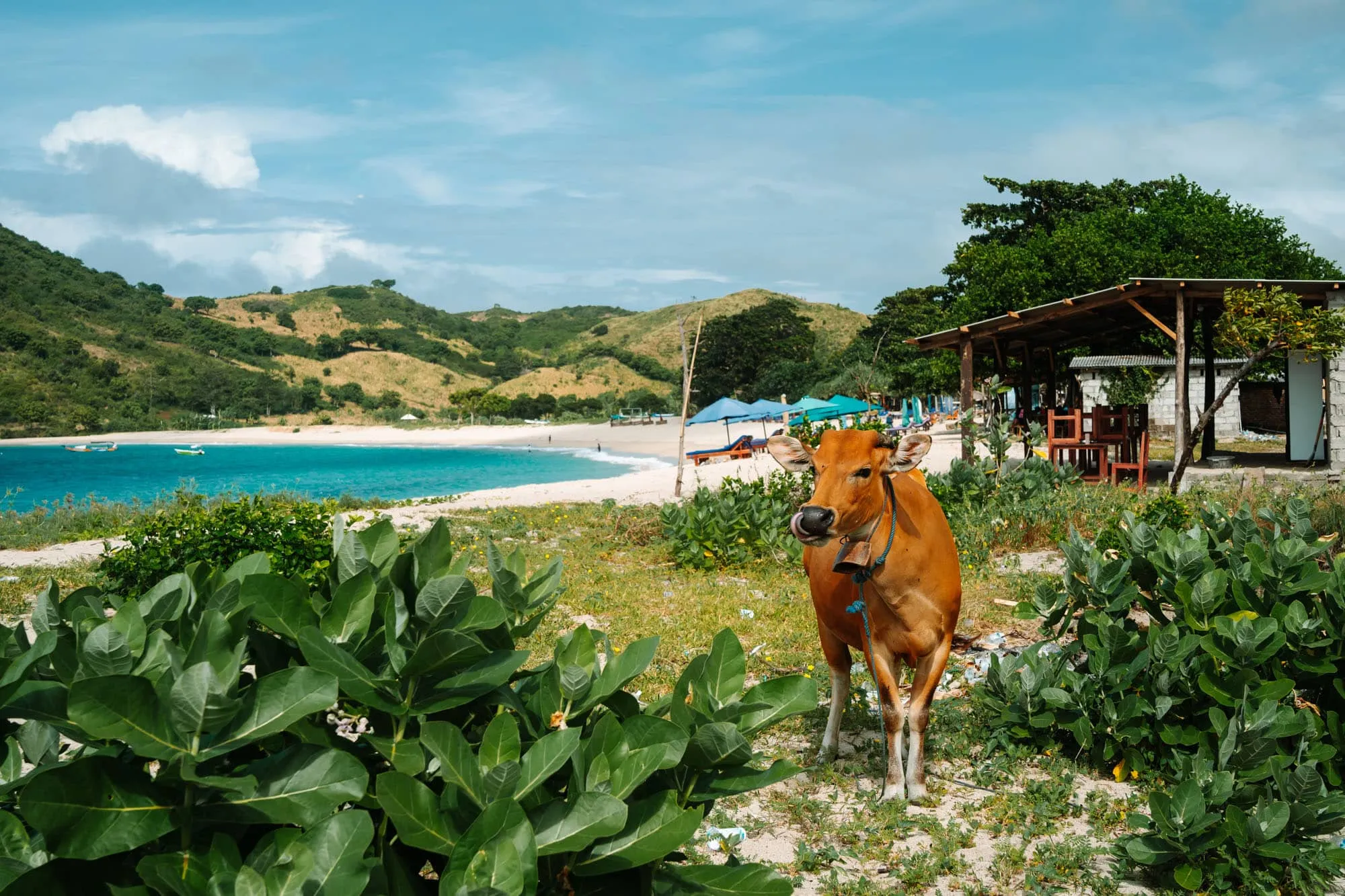 Day 9: Bali to Lombok