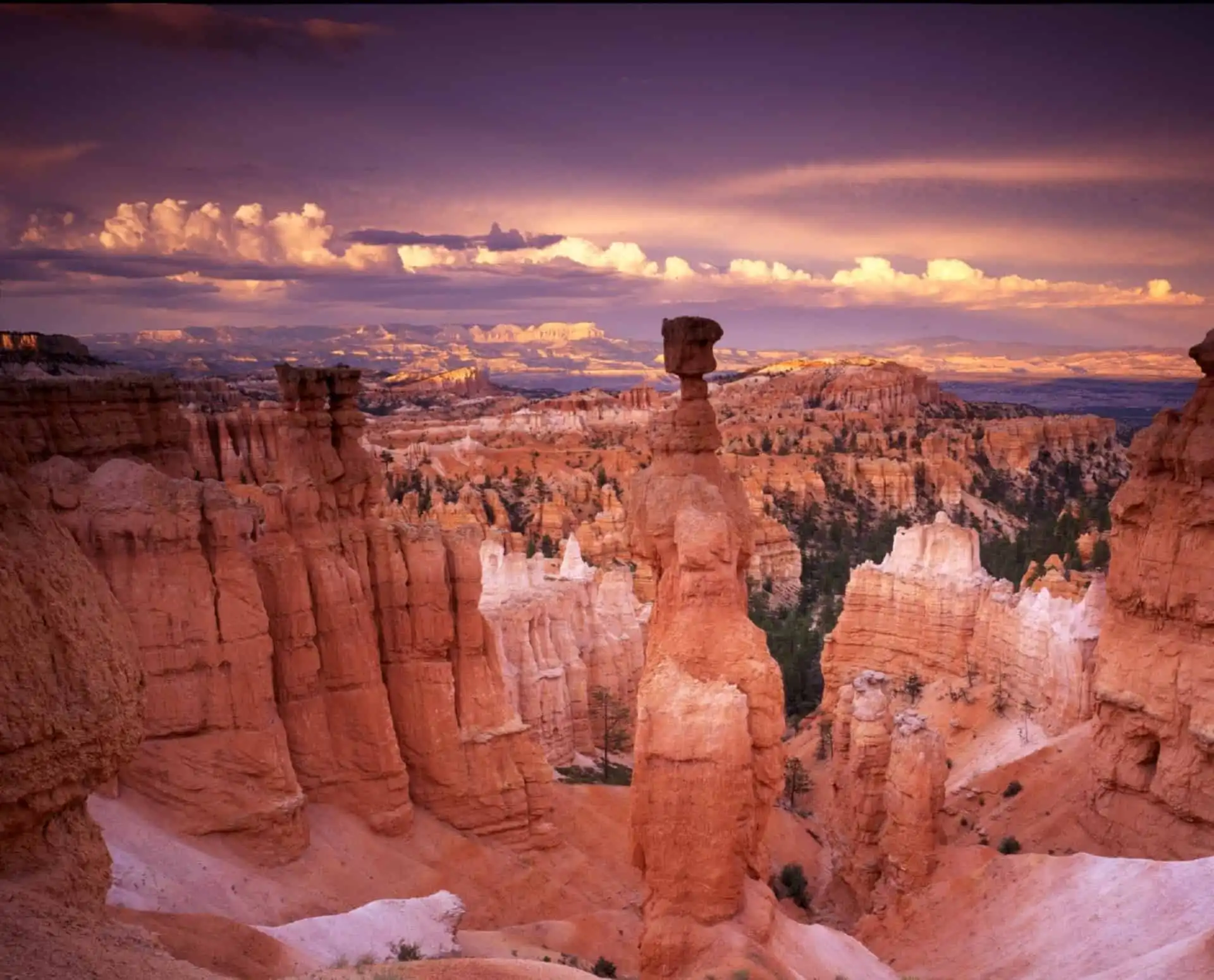 Day 7; Bryce Canyon